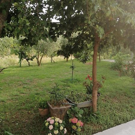 Apartman Petovic Κότορ Εξωτερικό φωτογραφία
