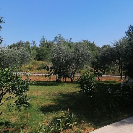 Apartman Petovic Κότορ Εξωτερικό φωτογραφία