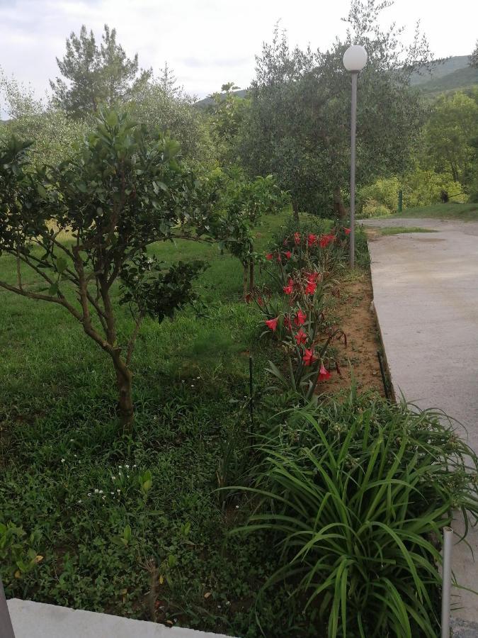 Apartman Petovic Κότορ Εξωτερικό φωτογραφία