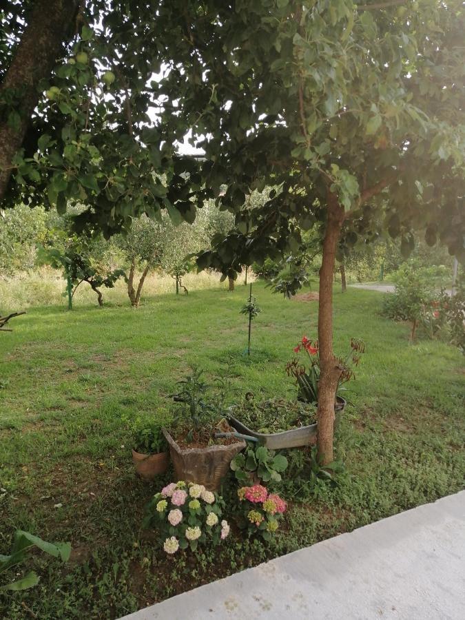 Apartman Petovic Κότορ Εξωτερικό φωτογραφία