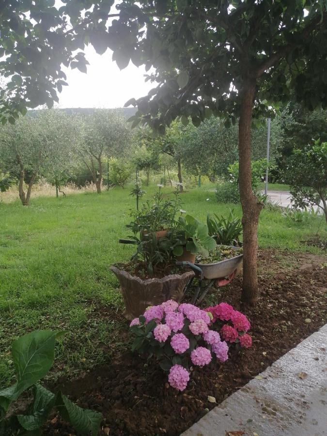 Apartman Petovic Κότορ Εξωτερικό φωτογραφία