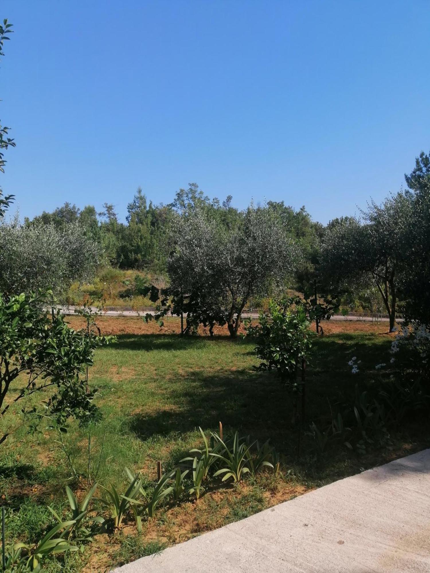 Apartman Petovic Κότορ Εξωτερικό φωτογραφία